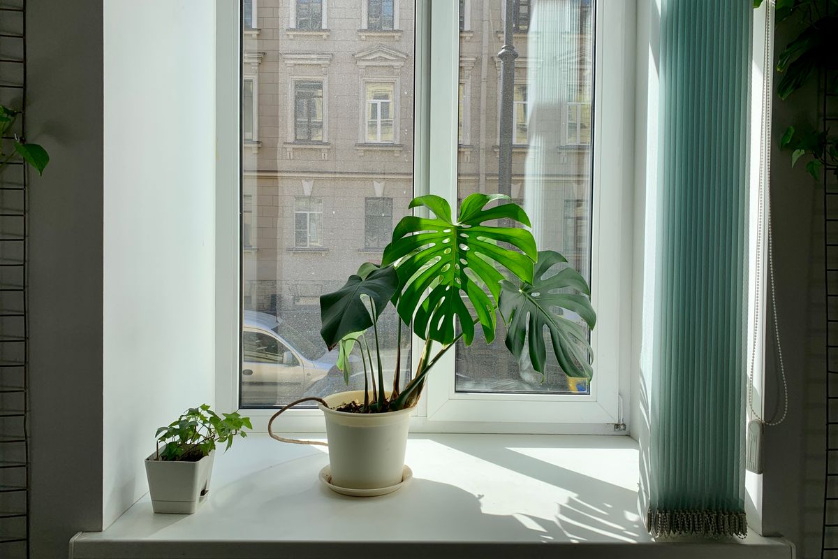 air purifier ozone smell