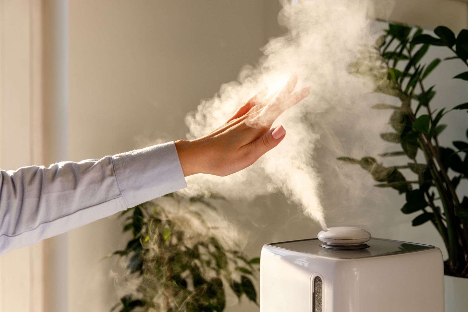 Hand in the mist rising from a white ultrasonic humidifier