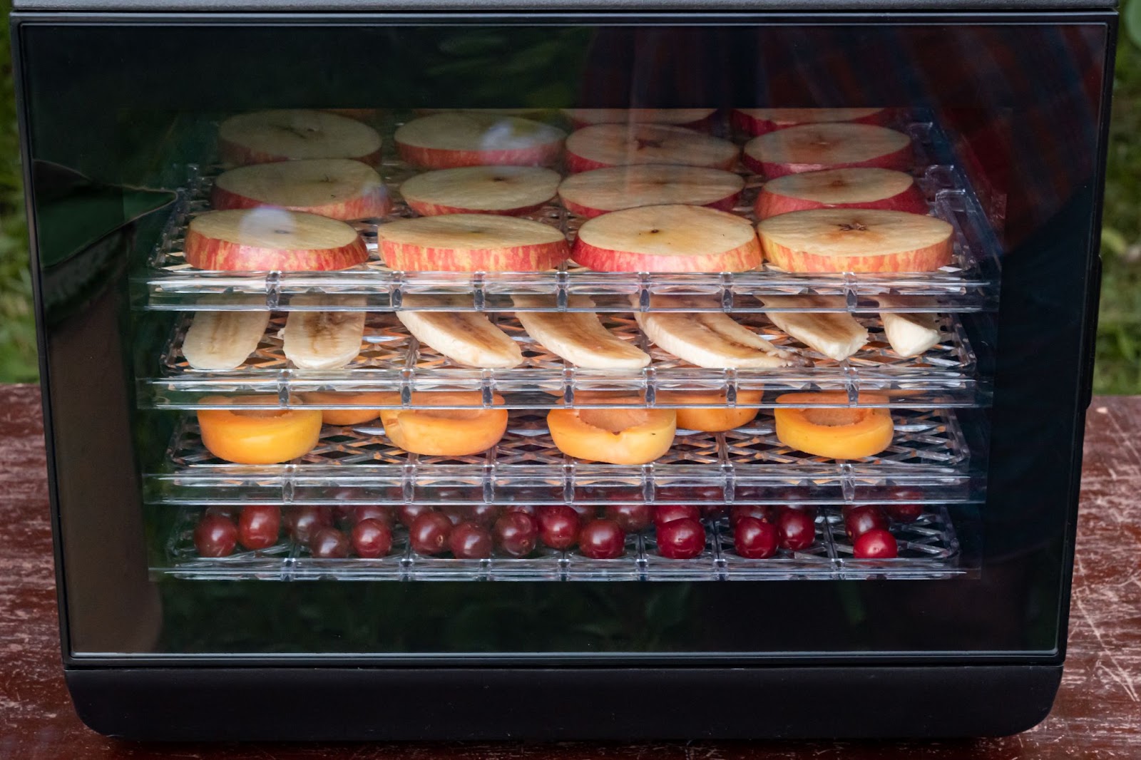 Food dehydrator with glass door and trays of apple, banana, apricot, and cherry pieces